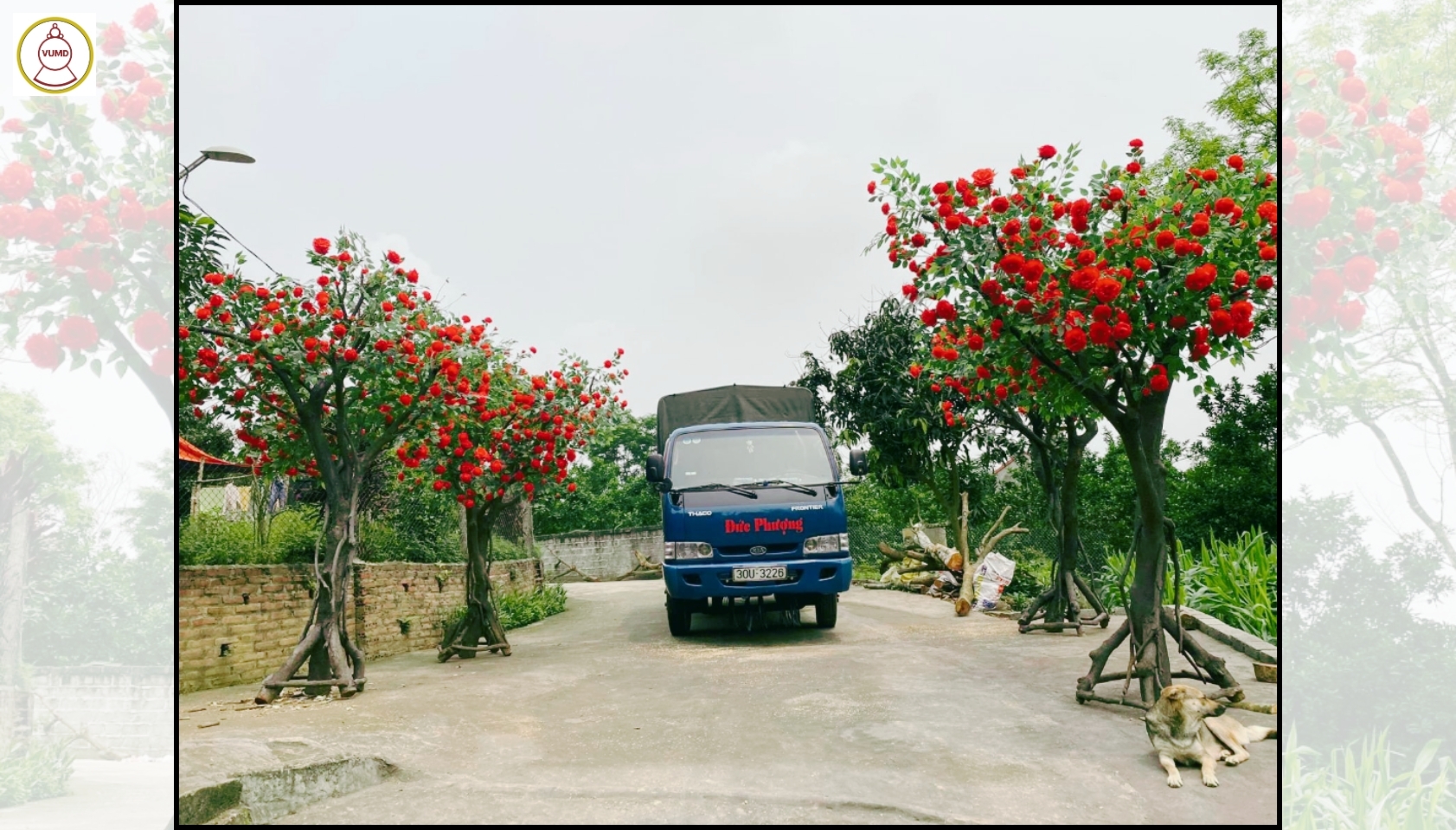 Cây hoa hồng giả đẹp trang trí nhà cửa