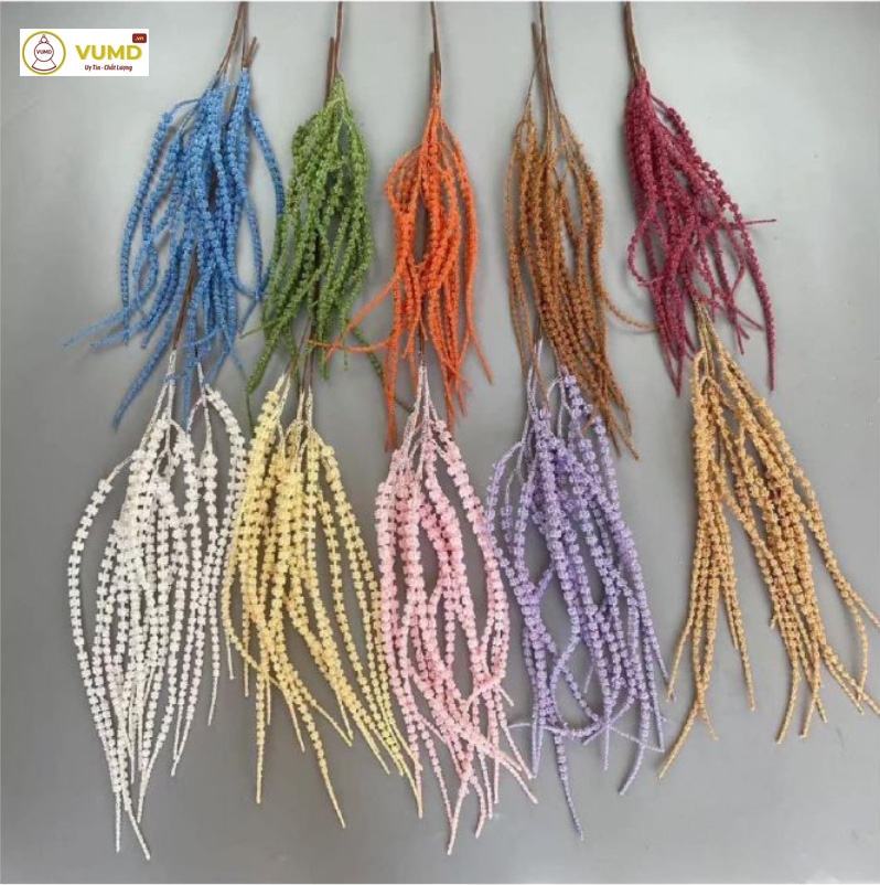 Cành dền rủ 2