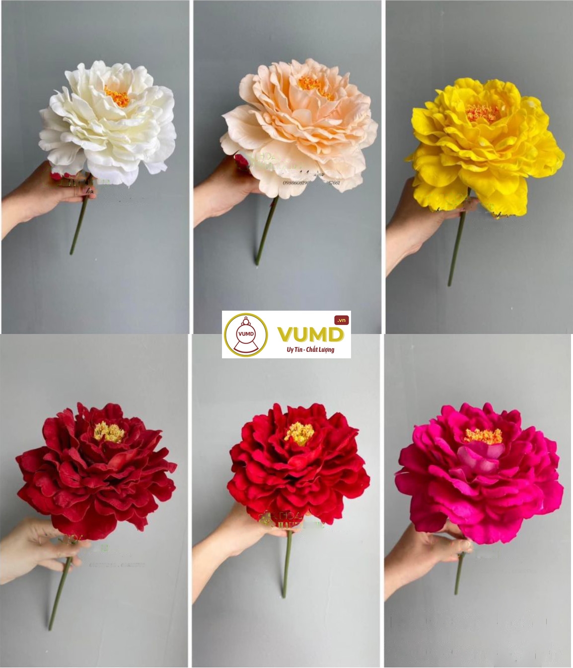 Mẫu đơn